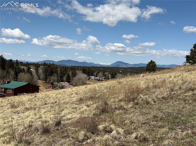 MLS Image for 538  Friar Tuck  ,Divide, Colorado