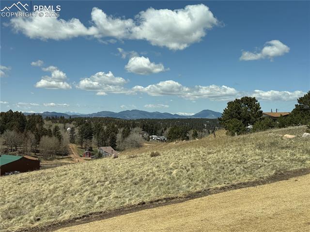 MLS Image for 538  Friar Tuck  ,Divide, Colorado
