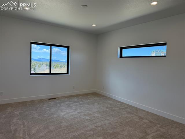 MLS Image for 538  Friar Tuck  ,Divide, Colorado