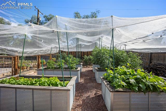 MLS Image for 1716 W Kiowa  ,Colorado Springs, Colorado