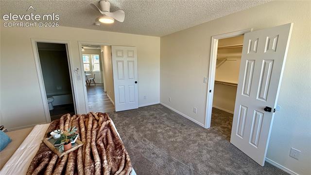 MLS Image for 6230  Dry Gulch  ,Colorado Springs, Colorado