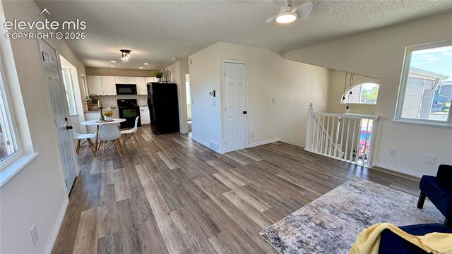 MLS Image for 6230  Dry Gulch  ,Colorado Springs, Colorado