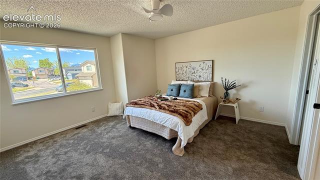 MLS Image for 6230  Dry Gulch  ,Colorado Springs, Colorado