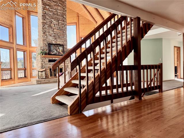 MLS Image for 20280  Indi  ,Monument, Colorado