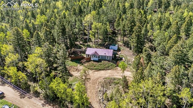 MLS Image for 86  Will Stutley  ,Divide, Colorado