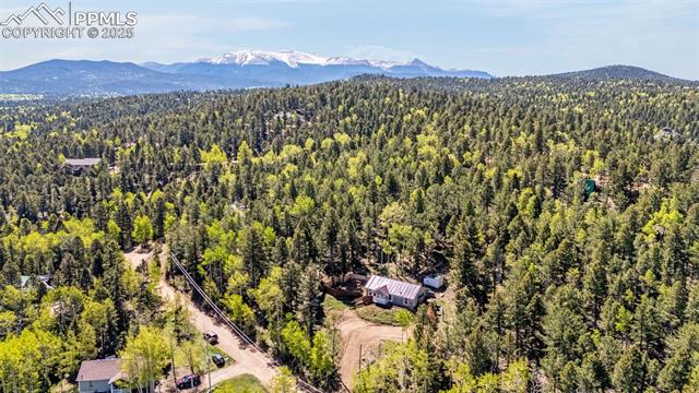 MLS Image for 86  Will Stutley  ,Divide, Colorado