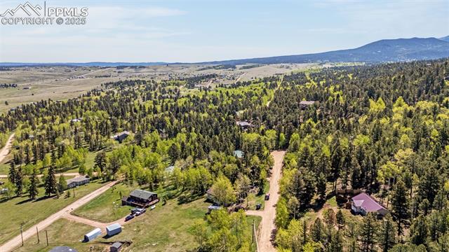 MLS Image for 86  Will Stutley  ,Divide, Colorado