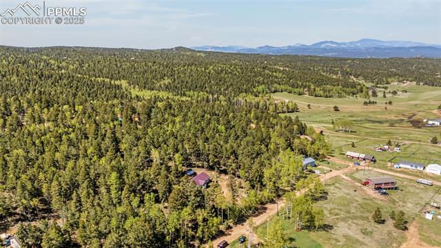 MLS Image for 86  Will Stutley  ,Divide, Colorado