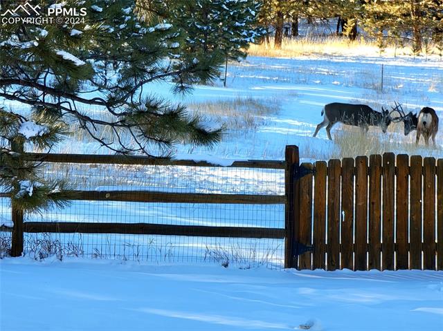 MLS Image for 1280  Woodland Valley Ranch  ,Woodland Park, Colorado