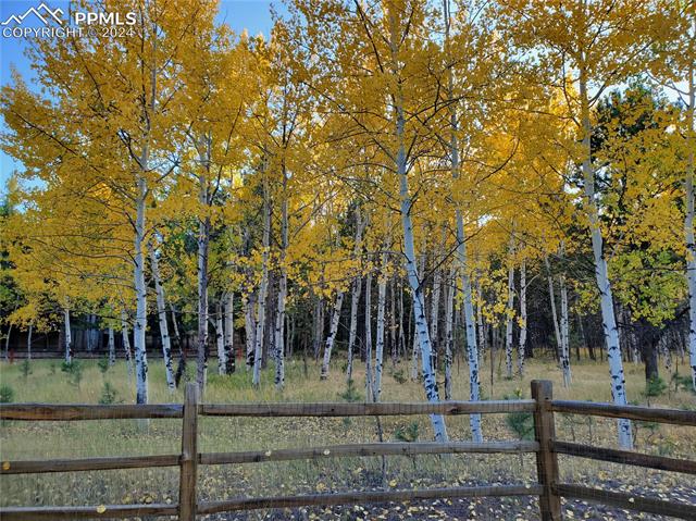 MLS Image for 1280  Woodland Valley Ranch  ,Woodland Park, Colorado