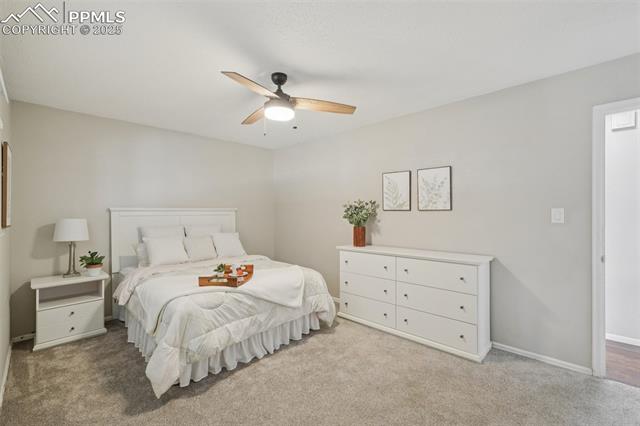 MLS Image for 1235  Tonka  ,Colorado Springs, Colorado