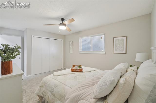 MLS Image for 1235  Tonka  ,Colorado Springs, Colorado