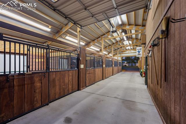 MLS Image for 12155  Spine Creek  ,Colorado Springs, Colorado