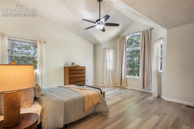MLS Image for 4330  Candytuft  ,Colorado Springs, Colorado