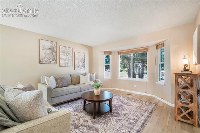 MLS Image for 4330  Candytuft  ,Colorado Springs, Colorado