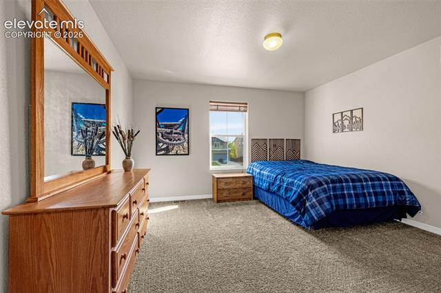 MLS Image for 7366  Buffalo Prairie  ,Colorado Springs, Colorado