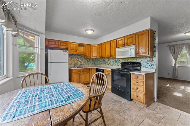 MLS Image for 717 S Cedar  ,Colorado Springs, Colorado