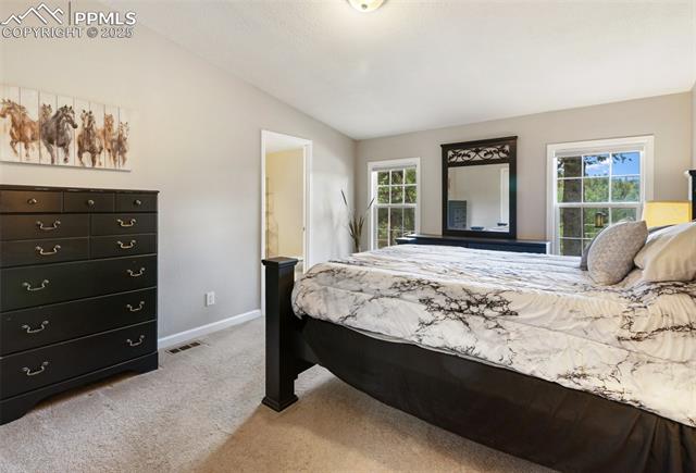 MLS Image for 192  Silbani  ,Florissant, Colorado
