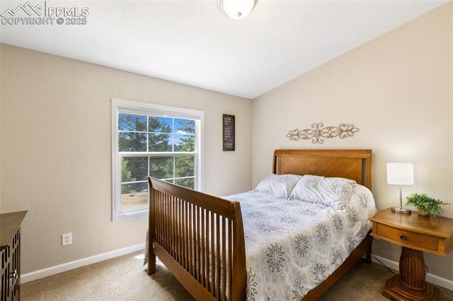 MLS Image for 192  Silbani  ,Florissant, Colorado