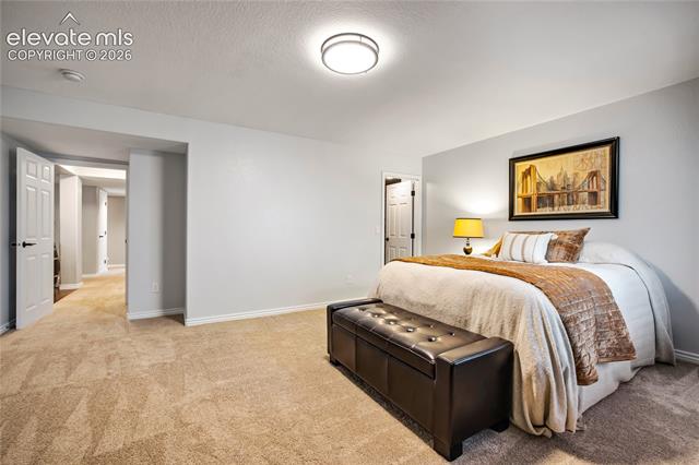 MLS Image for 10127  Palisade Ridge  ,Colorado Springs, Colorado