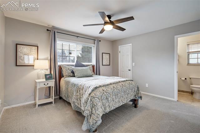 MLS Image for 1342  York  ,Colorado Springs, Colorado