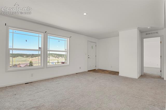 MLS Image for 58  Elfin Glen  ,Divide, Colorado