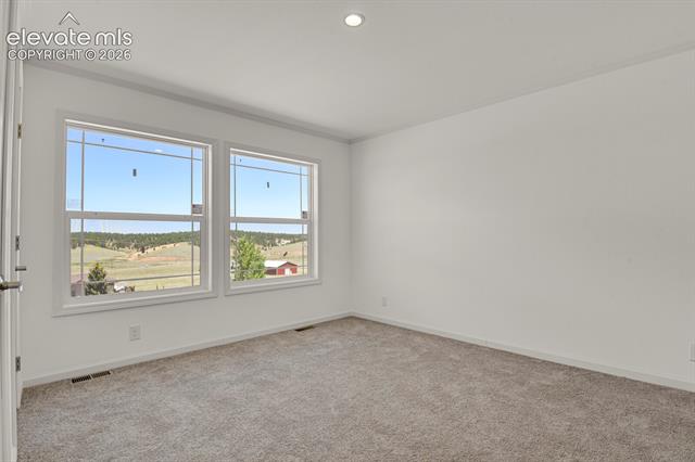 MLS Image for 58  Elfin Glen  ,Divide, Colorado