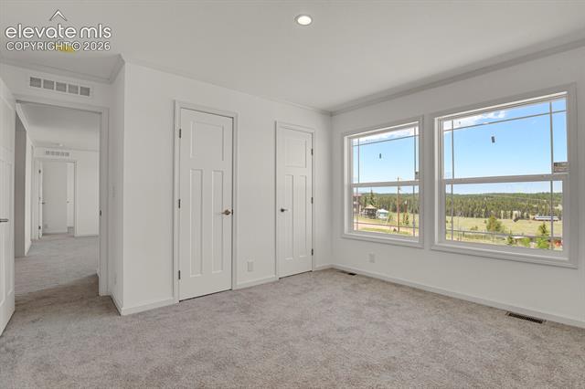 MLS Image for 58  Elfin Glen  ,Divide, Colorado