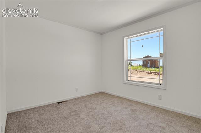 MLS Image for 58  Elfin Glen  ,Divide, Colorado