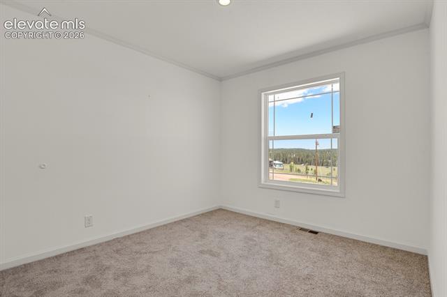 MLS Image for 58  Elfin Glen  ,Divide, Colorado