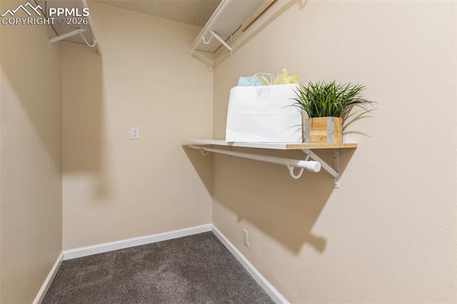 MLS Image for 8525  Smoky Falls  ,Colorado Springs, Colorado