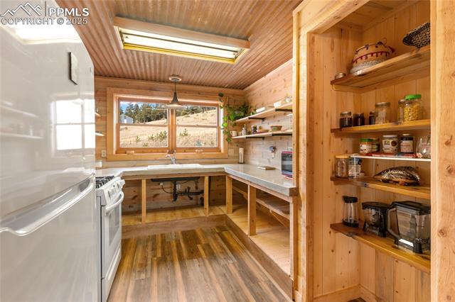 MLS Image for 795 S Mountain Estates  ,Florissant, Colorado