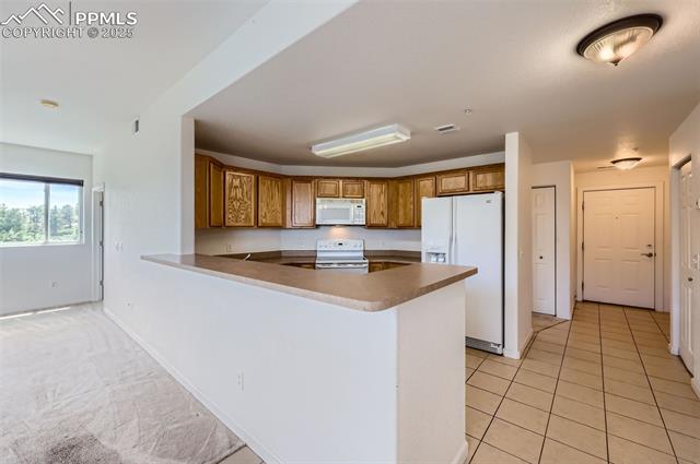 MLS Image for 3755  Hartsock  203 ,Colorado Springs, Colorado