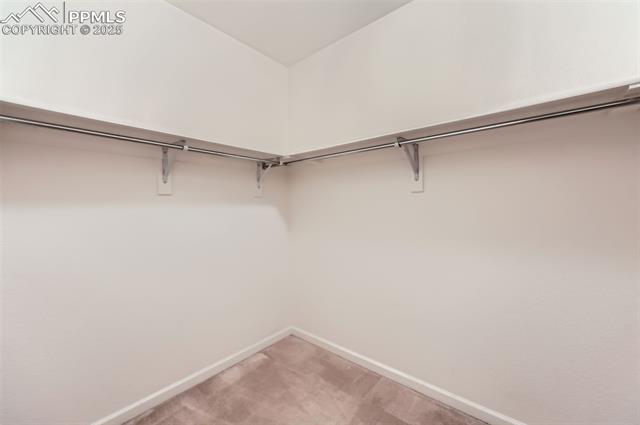 MLS Image for 3755  Hartsock  203 ,Colorado Springs, Colorado