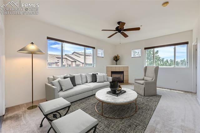 MLS Image for 3755  Hartsock  203 ,Colorado Springs, Colorado