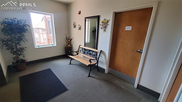 MLS Image for 3755  Hartsock  203 ,Colorado Springs, Colorado