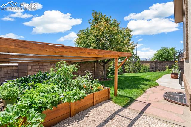 MLS Image for 9005  Canary  ,Colorado Springs, Colorado
