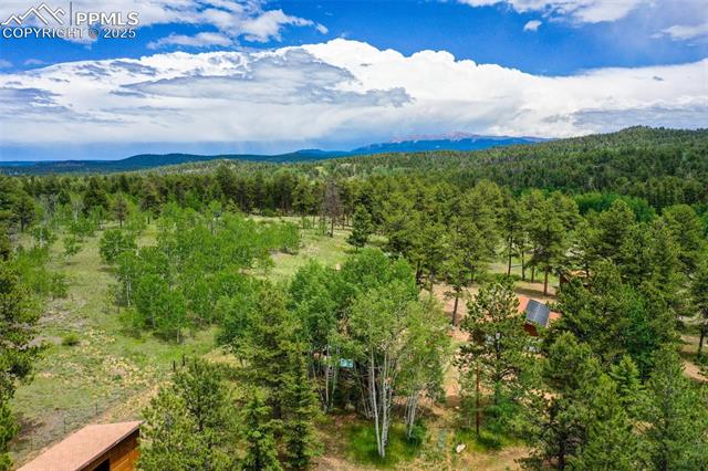 MLS Image for 215  Valley  ,Florissant, Colorado