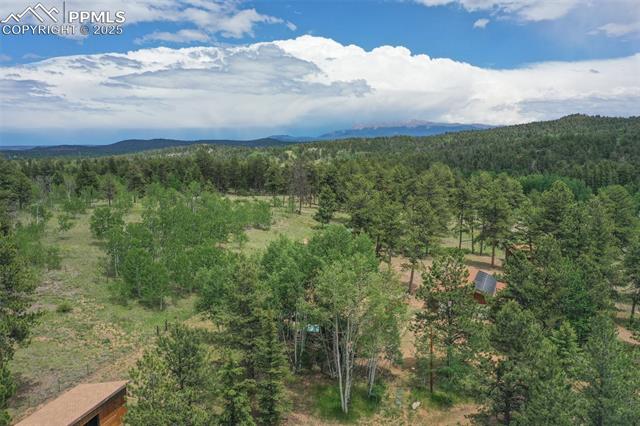MLS Image for 215  Valley  ,Florissant, Colorado