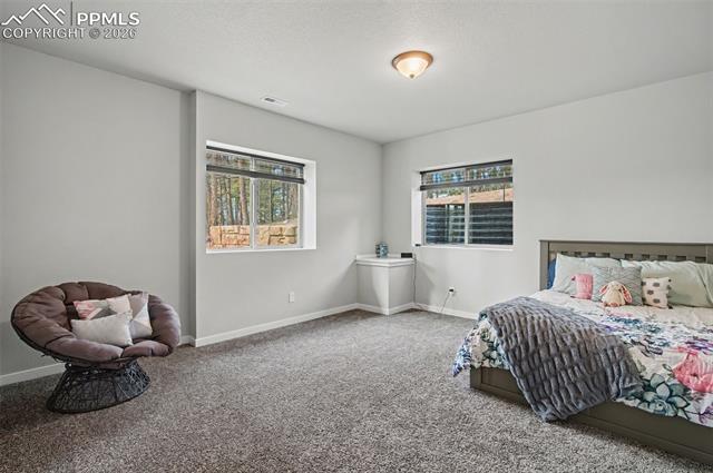 MLS Image for 16474  Morning Rise  ,Monument, Colorado