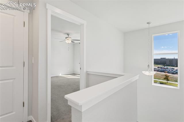 MLS Image for 8756  Wolf Valley  ,Colorado Springs, Colorado