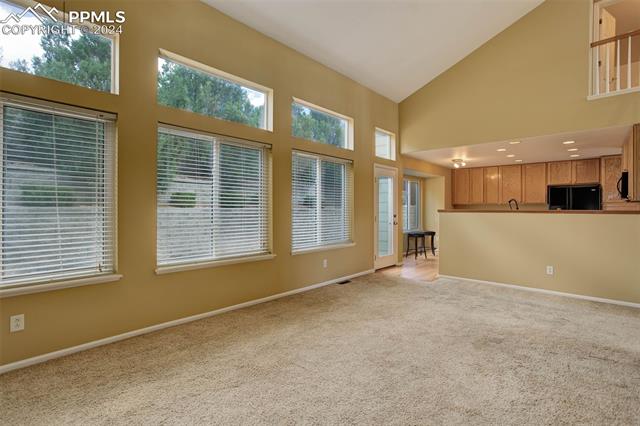 MLS Image for 3775  Birdie  ,Colorado Springs, Colorado