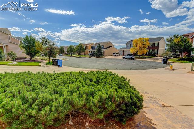 MLS Image for 3775  Birdie  ,Colorado Springs, Colorado