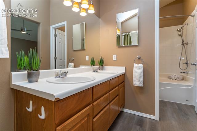 MLS Image for 8374  Ravenel  ,Colorado Springs, Colorado