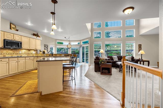 MLS Image for 12265  Jones Park  ,Colorado Springs, Colorado