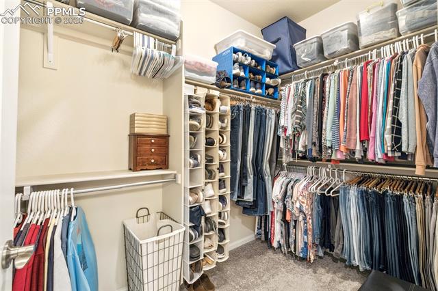 MLS Image for 5871  Torrisdale  ,Colorado Springs, Colorado