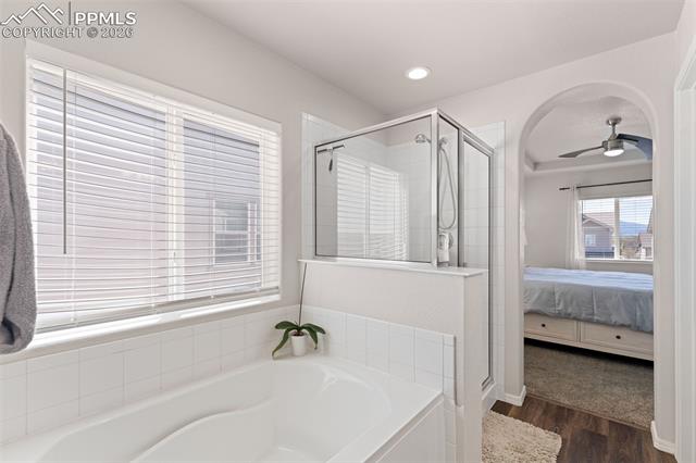 MLS Image for 3768  Vineyard  ,Colorado Springs, Colorado