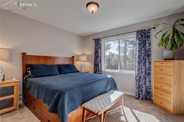 MLS Image for 9364  Shipman  ,Colorado Springs, Colorado