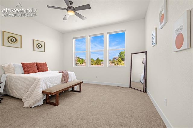 MLS Image for 6202  Rowdy  ,Colorado Springs, Colorado