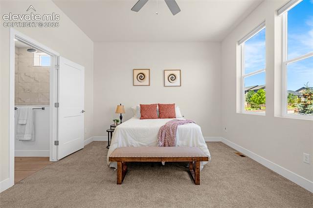 MLS Image for 6202  Rowdy  ,Colorado Springs, Colorado